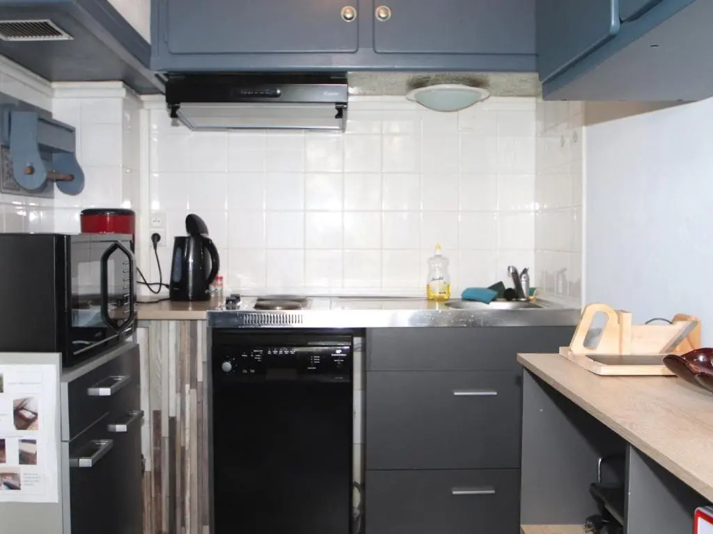 Appartement Banyuls-sur-Mer, 1 pièce, 4 personnes - FR-1-309-171