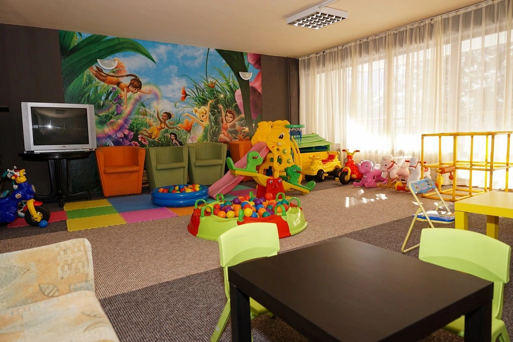 Hotel Bor
