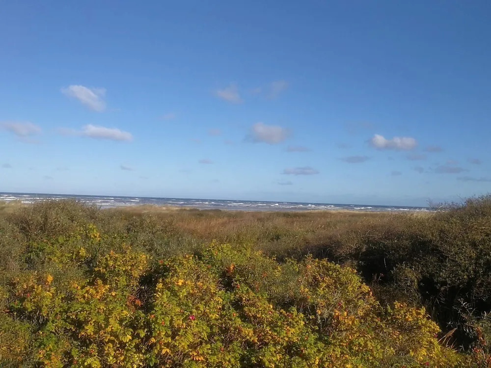 4 star holiday home in Bindslev