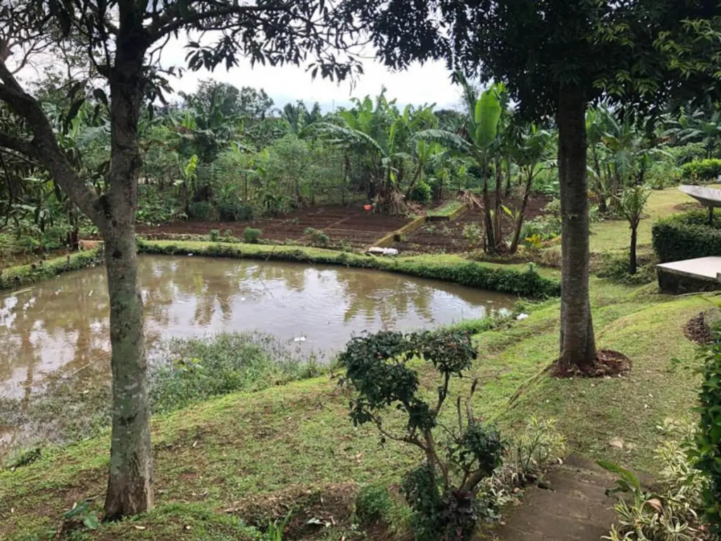 Villa Green Valley Puncak RedPartner