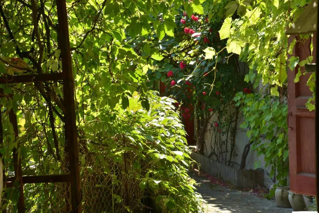 La Maison De Marthe