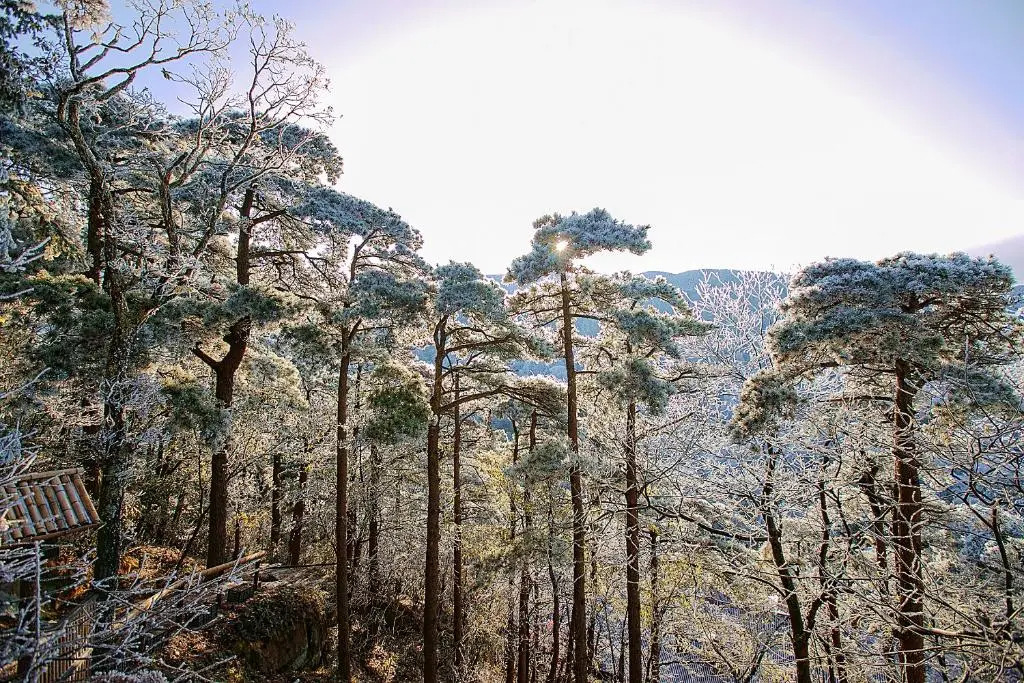 Lushan Yilu Guest House Tingtao