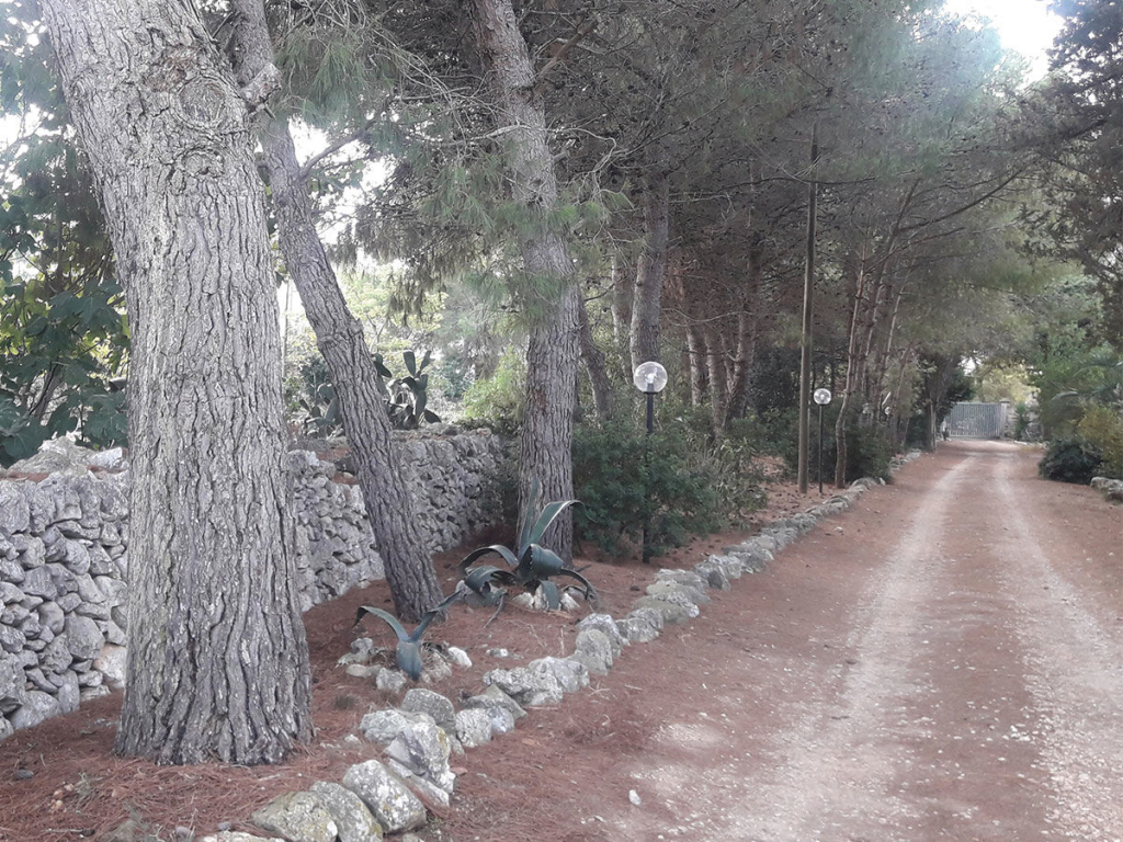 Masseria Scianne