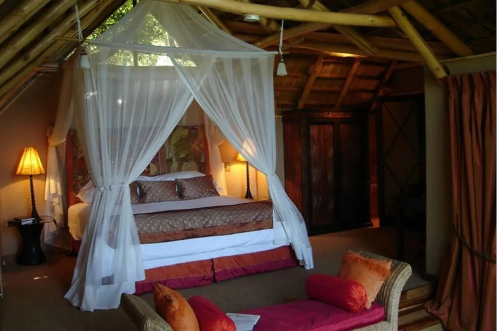 Phantom Forest Eco Reserve