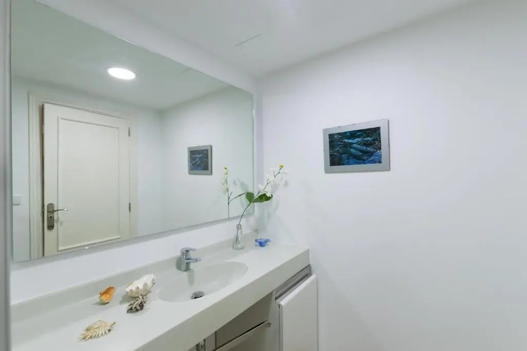 Light and bright apartment in central Valencia