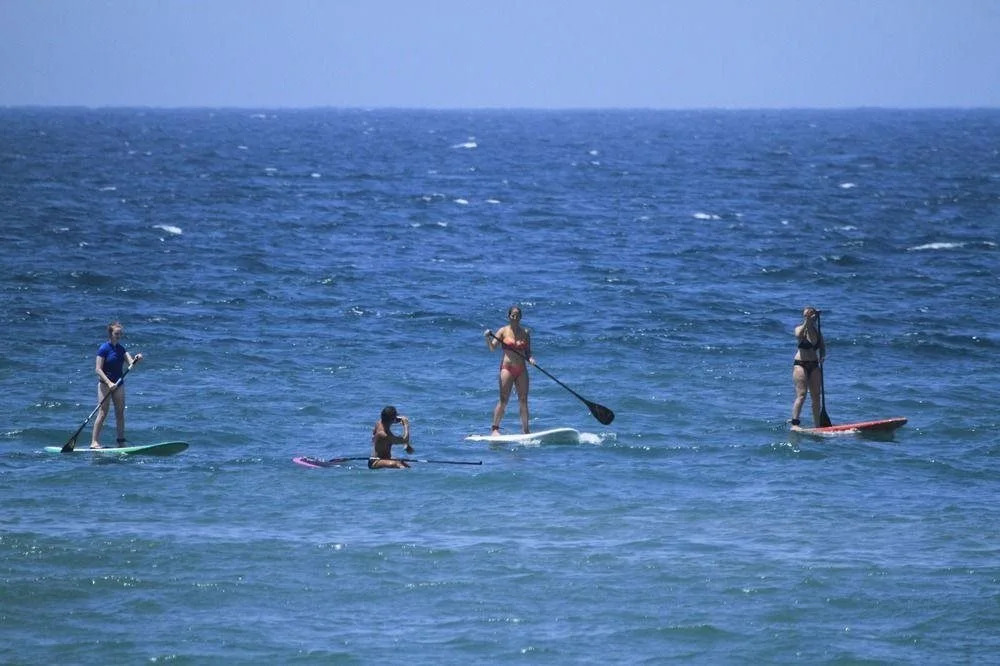 Waltako Beach Culture
