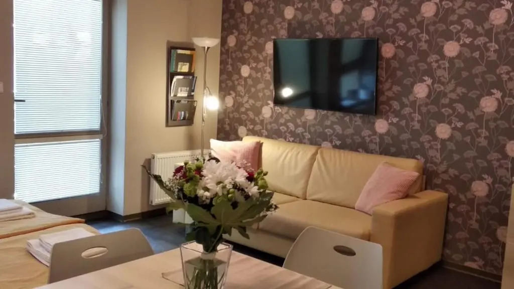 Harrachov Resident Apartments "Terrace & Chill" - high speed WiFi, možnost snídaně, Smart TV, Netflix, Disney plus