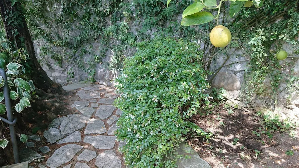 Villa l'Ulivina