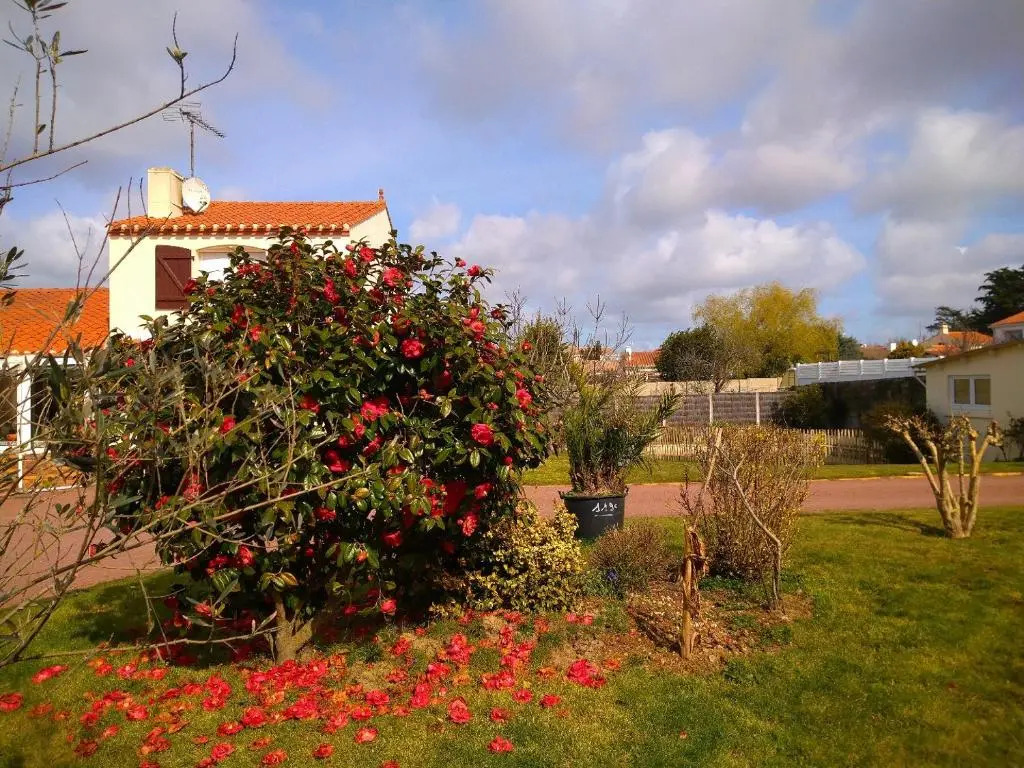 Gîte "La Belle Etoile" 2 nuits minimum, 3 étoiles