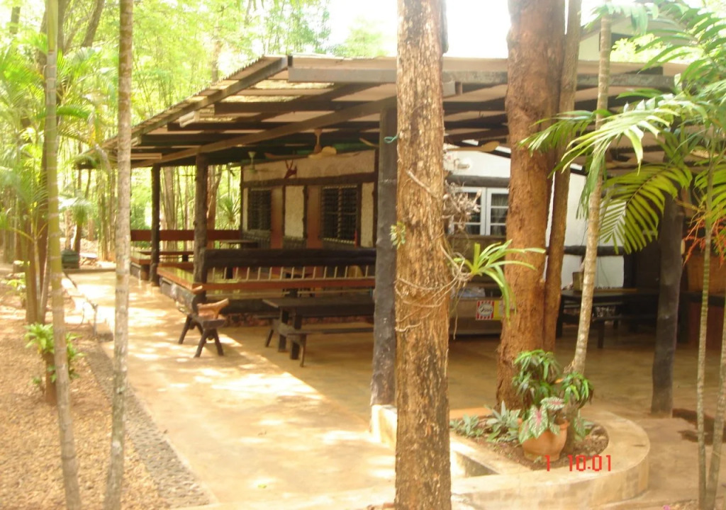 Sam's Jungle Guesthouse