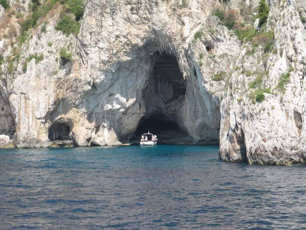 Sorrento Nest Rose