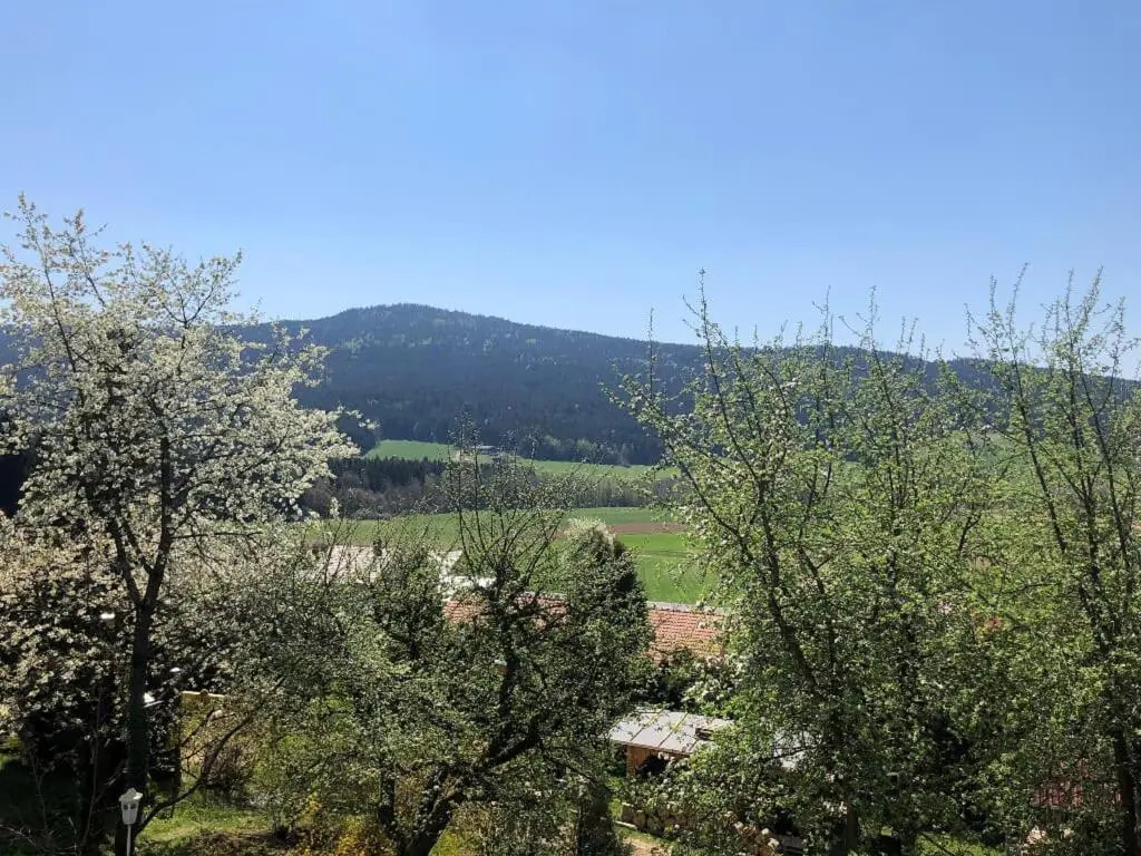 Steinbühler Hof - Stressfrei am Lande