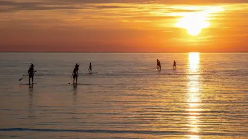 Surflogiet Gotland
