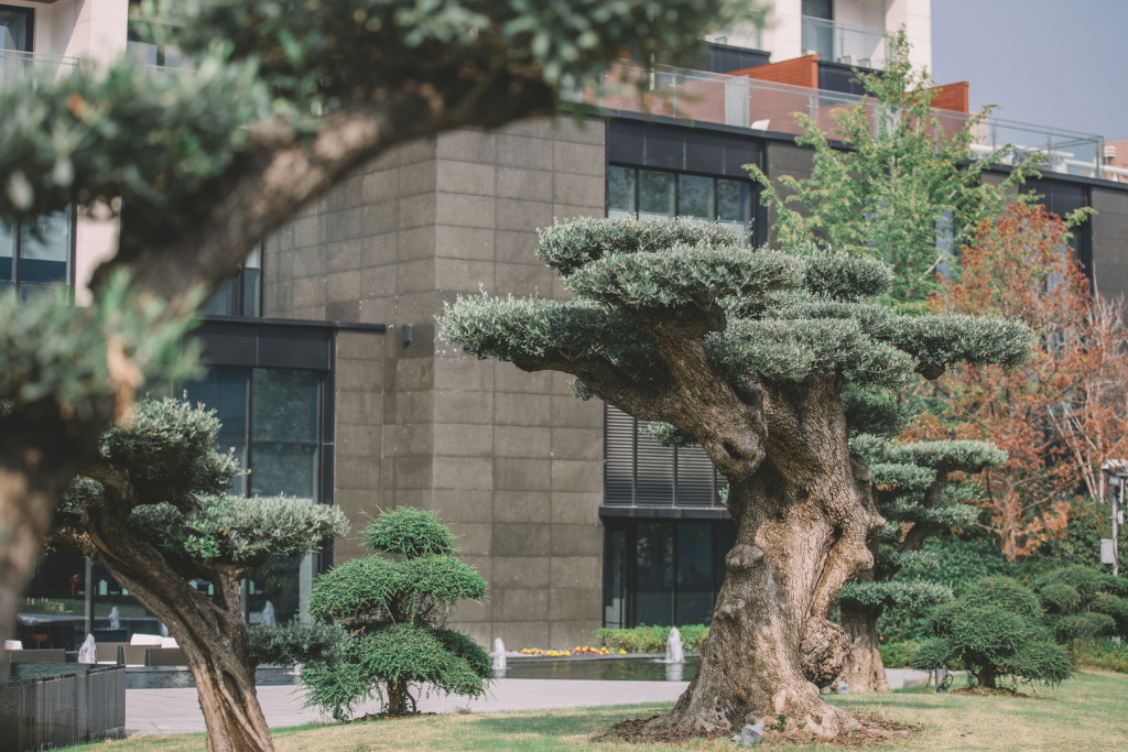 The Anandi Hotel and Spa Shanghai