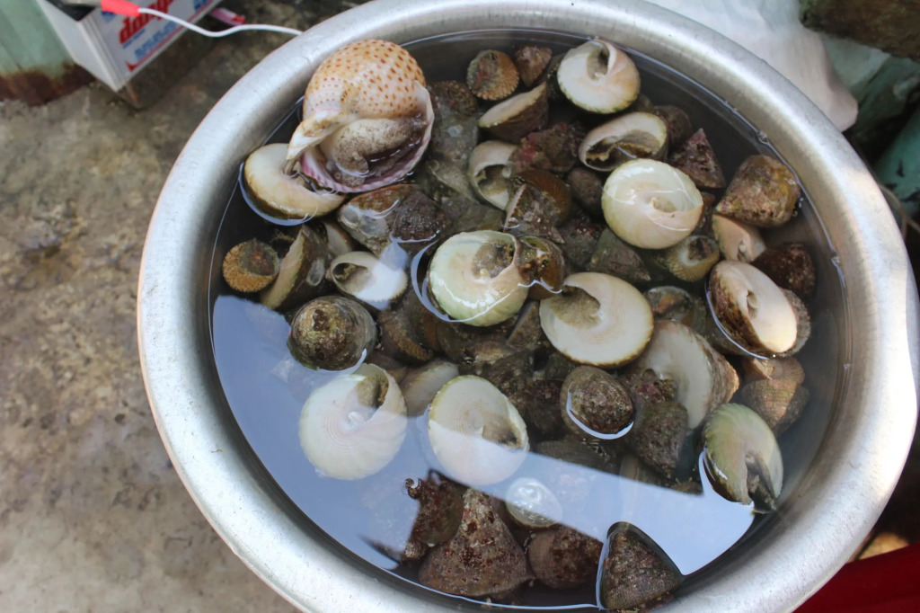 Bai Huong homestay