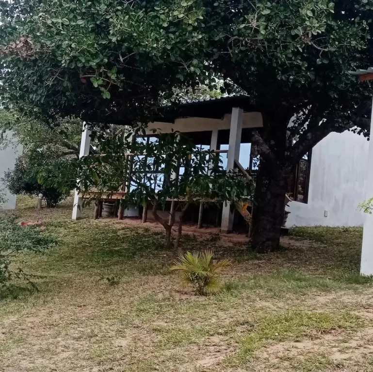 Restaurante Calor Tropical