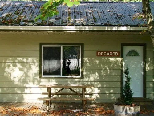 Cabins and Campground at Cultus Lake Park