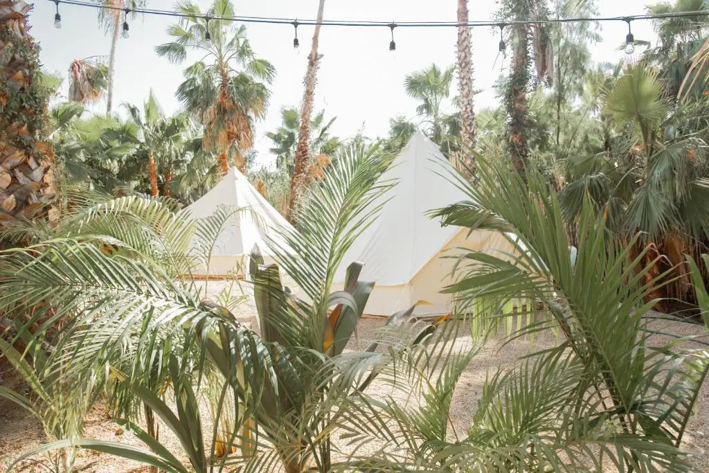 Cien Palmas Tent 1