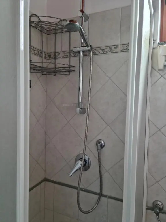 House center Licia