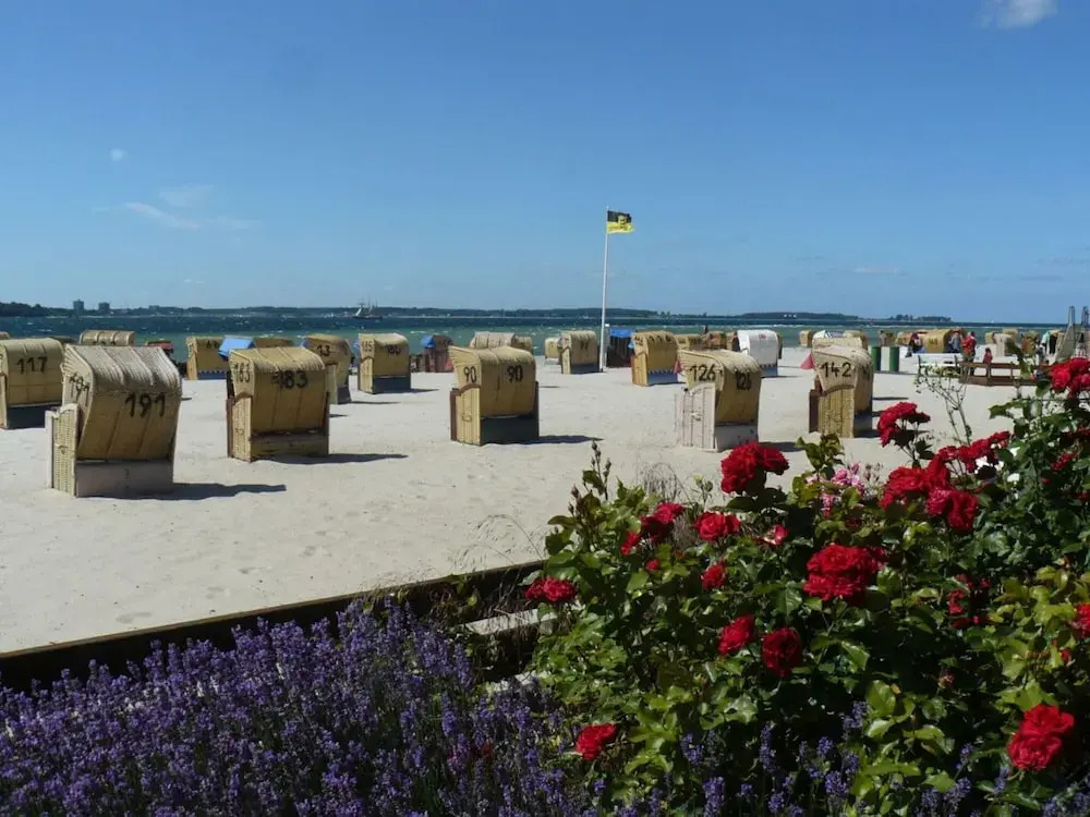 Nice Apartment Near Seabeach