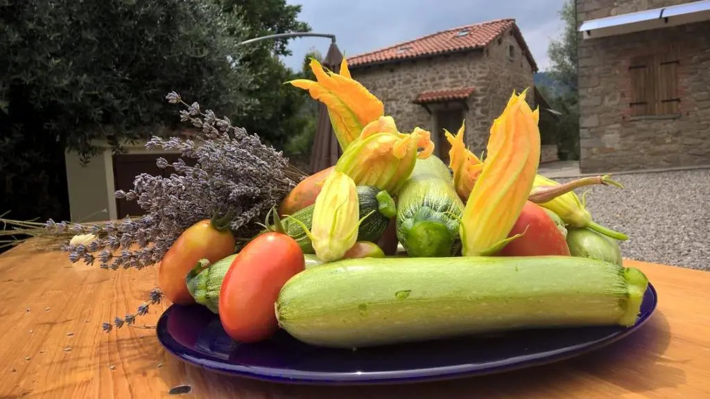 Agripodere il Falco - Tuscany Nature & Relax