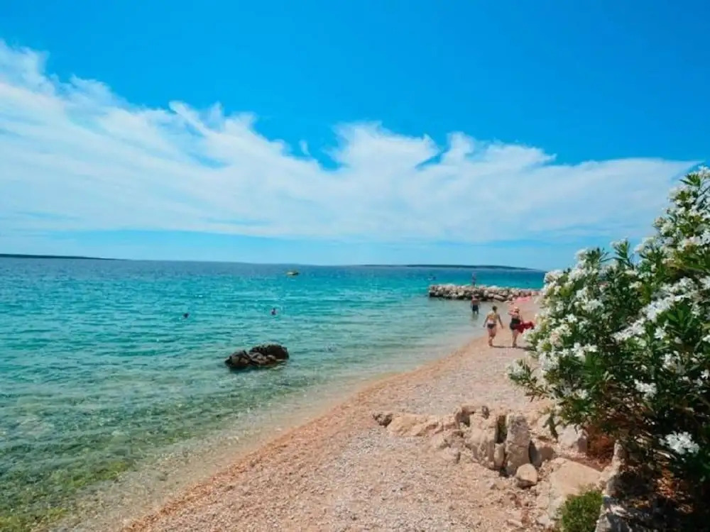 Apartment in Mandre Near the Sea