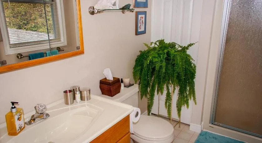 Point Pelee Lakeshore B&B