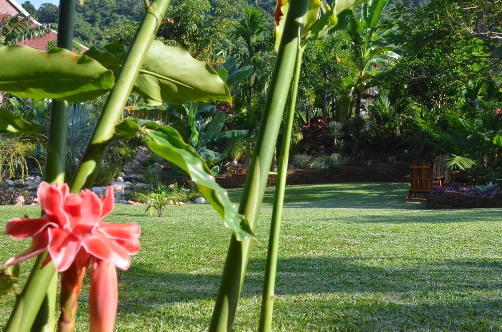 Cominsia Lodge