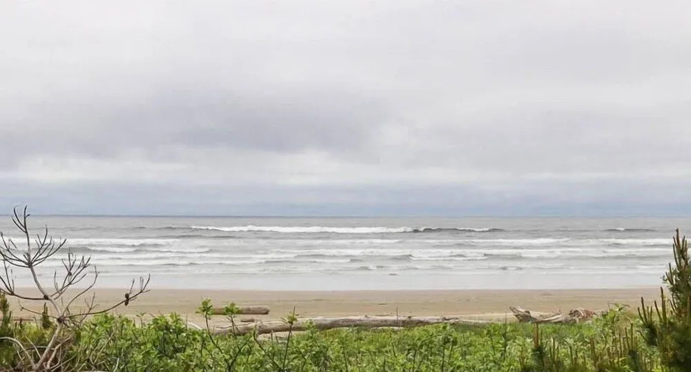 Sandpiper Retreat