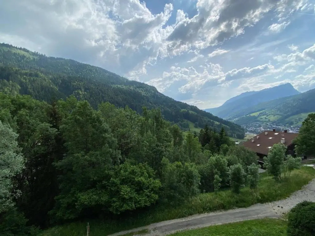 Appartement Le Grand-Bornand, 1 pièce, 4 personnes - FR-1-241-75