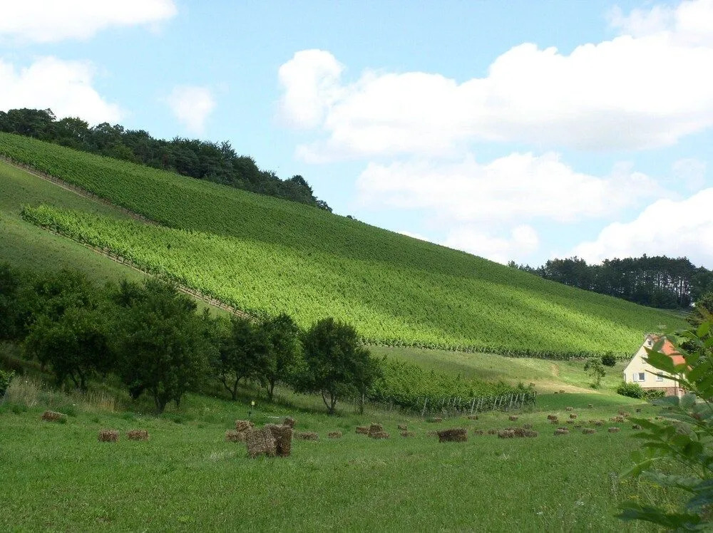 Hotel Mainblick Garni