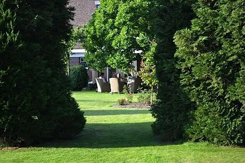 B&B Huyze Max