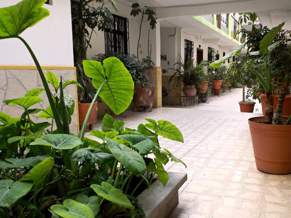 Hotel Posada Las Casas
