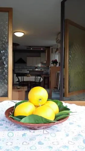 Apartment Orange tree