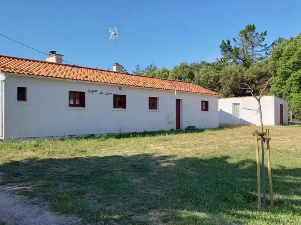 Maison Notre-Dame-de-Monts, 3 pièces, 5 personnes - FR-1-540-141