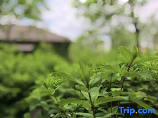Guanshan · Yue Resort Hotel (North slope Distribution Center of Changbai Moutain Enduli Branch