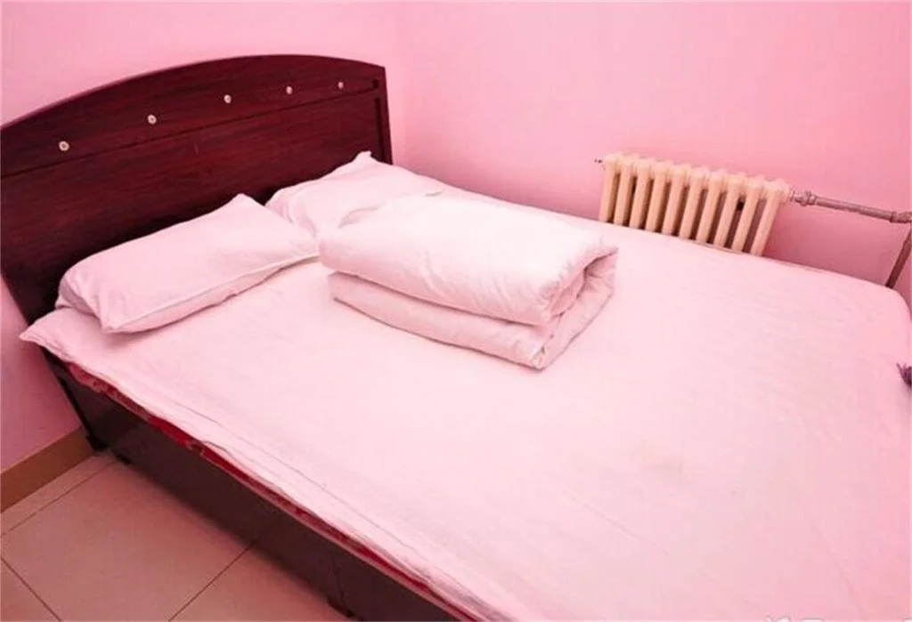 Dezhou Luguo Inn