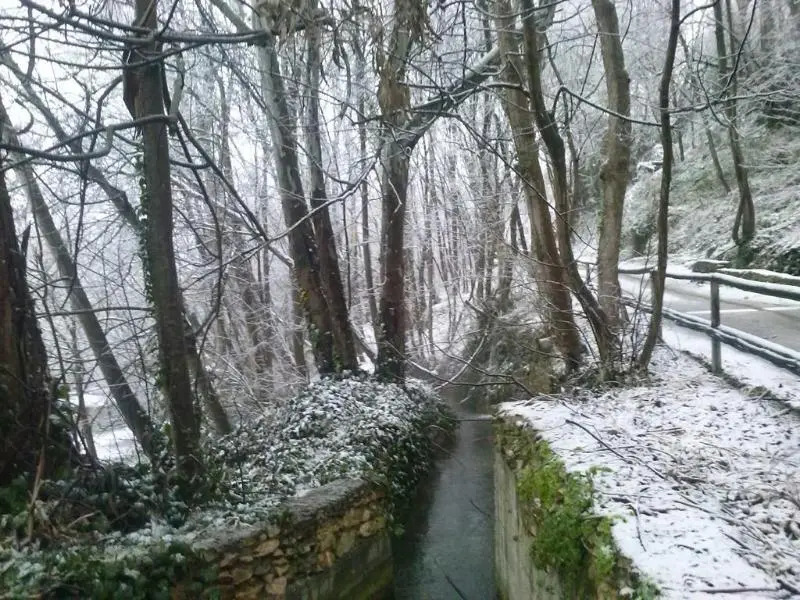 Alojamiento Rural Molino Del Puente