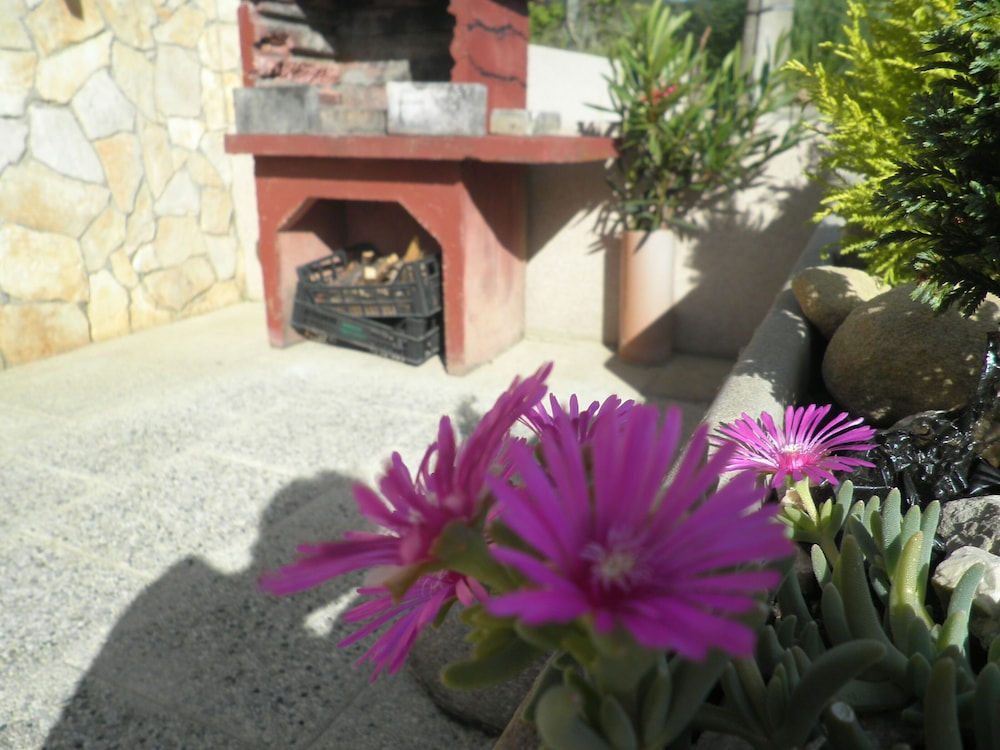 Apartments Vesna