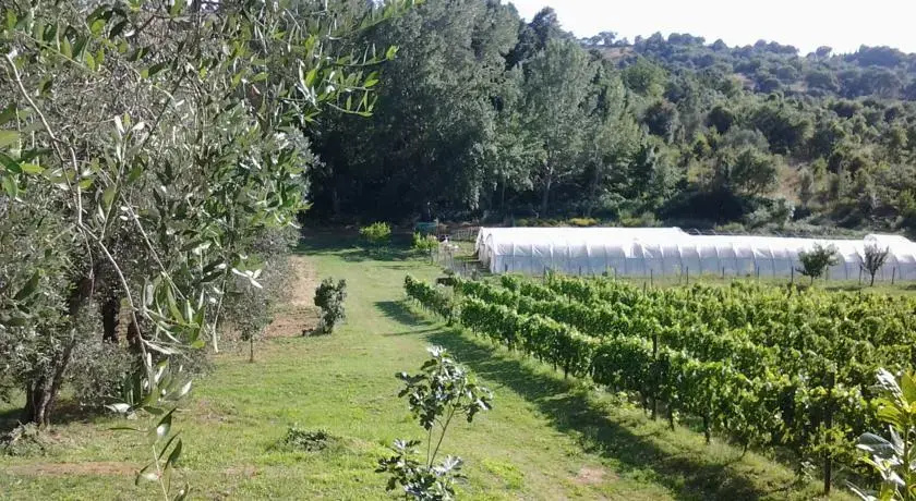 Casa Vacanze Melarosa