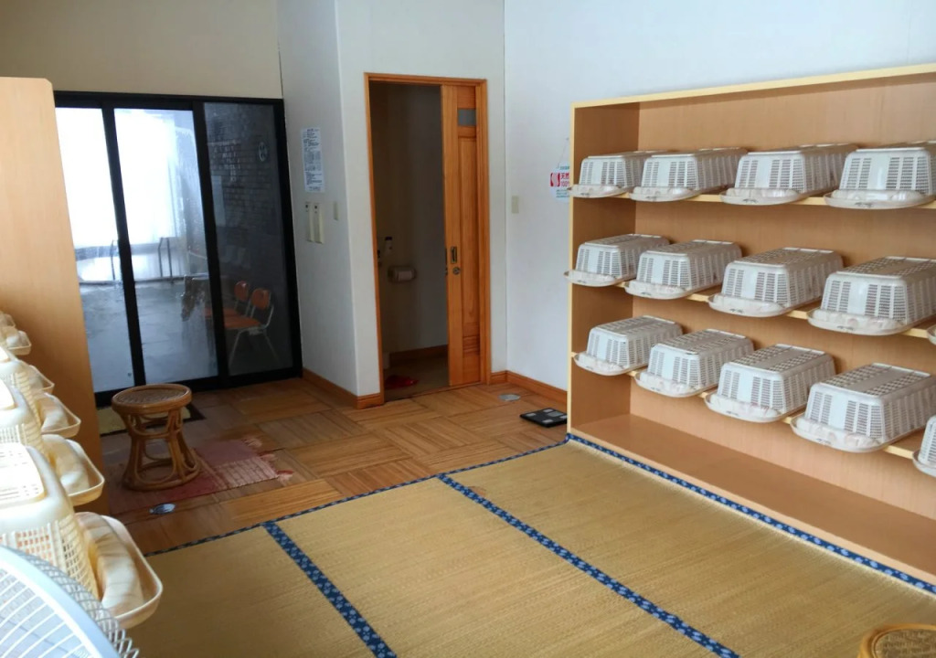 Genbu Onsen Lodge Tachibana