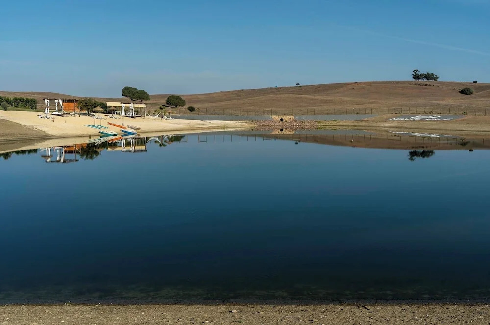 Monte Vale Organic Farm