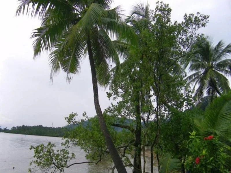 Grace Ville Resort(เกรซ วิลล์ รีสอร์ท)
