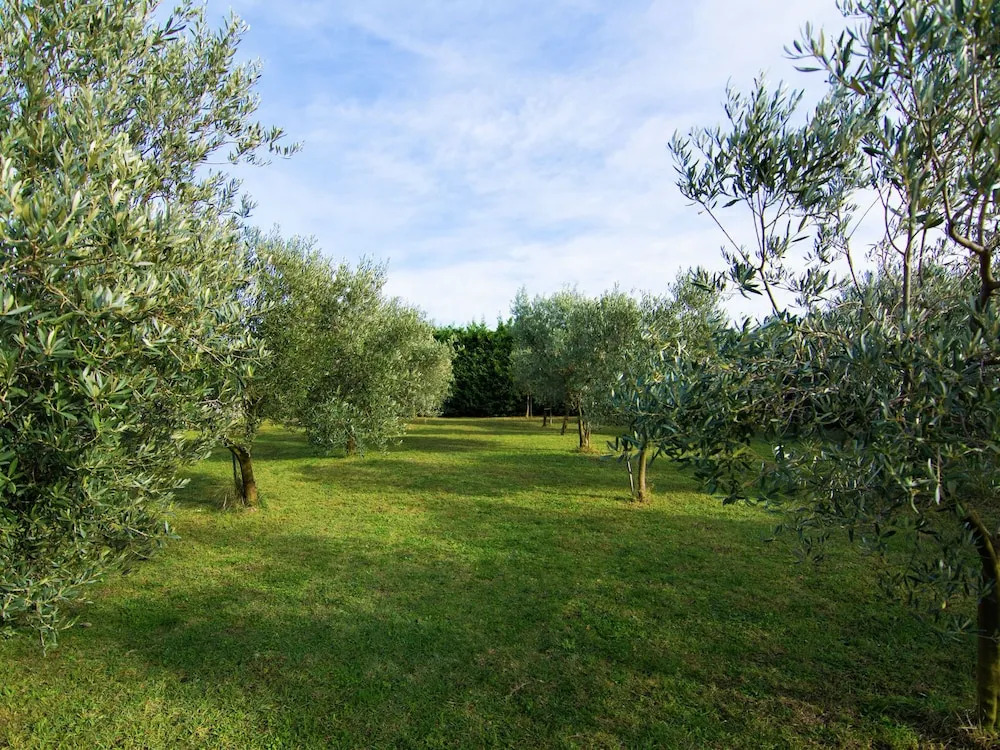 Vineyard Villa in Montfrin