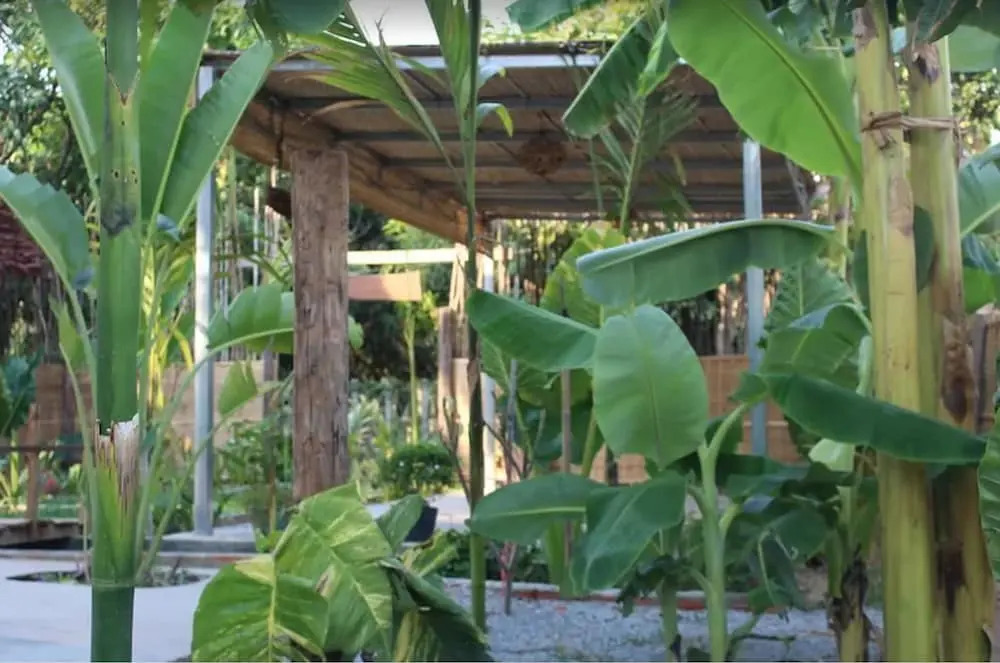 The Green Home