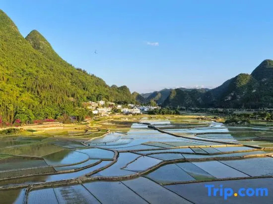 Wanfenglin Shanyin Yuefeng Homestay