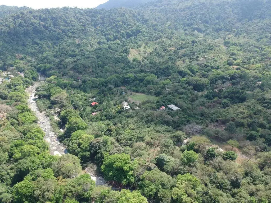 Tayrona Deep Forest Posadas