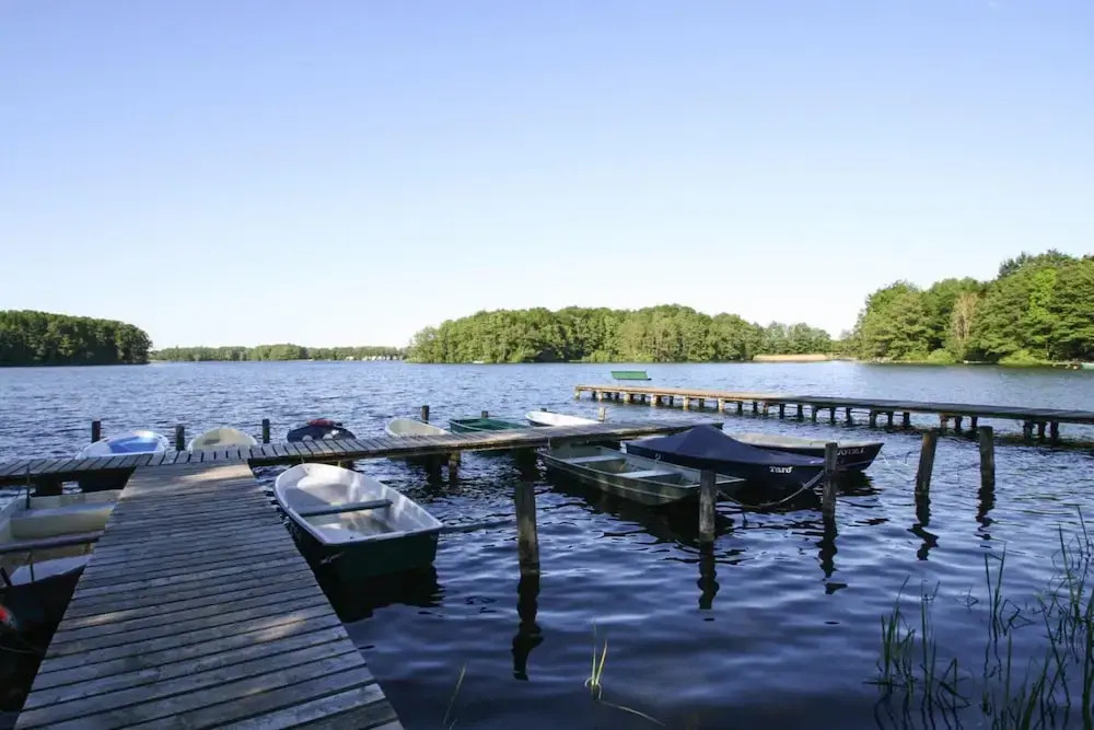 Ferienhaus Larsson mit Sauna am Dümmer See