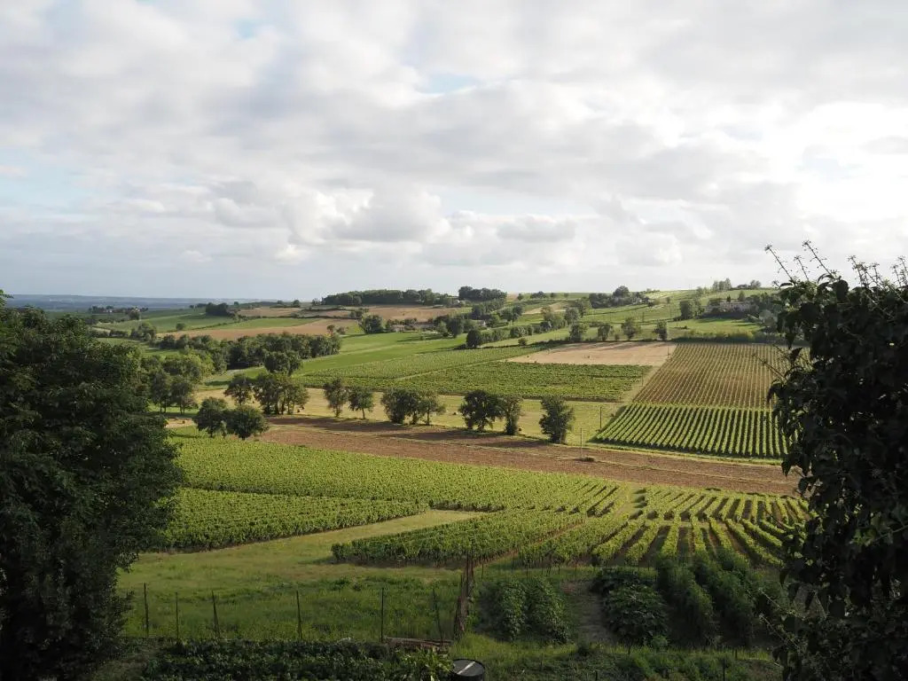 Le Mas de Doat, Gîte de Charme 4 étoiles dans le Triangle d Or proche Gaillac et Albi