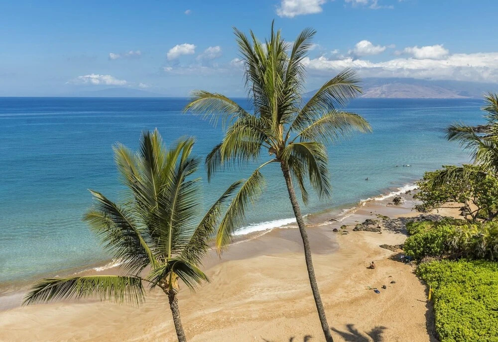 Polo Beach Club Two Bedrooms - Sleeps 6 by Coldwell Banker Island Vacations